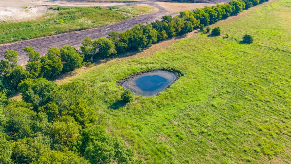 Pond & tree line