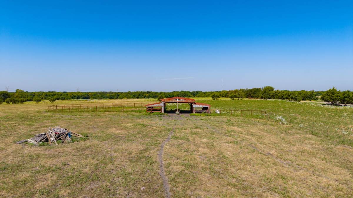 Open pasture