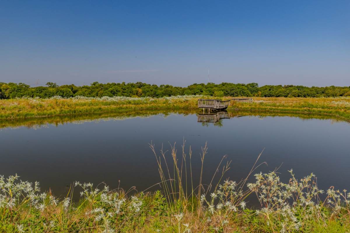 Pond